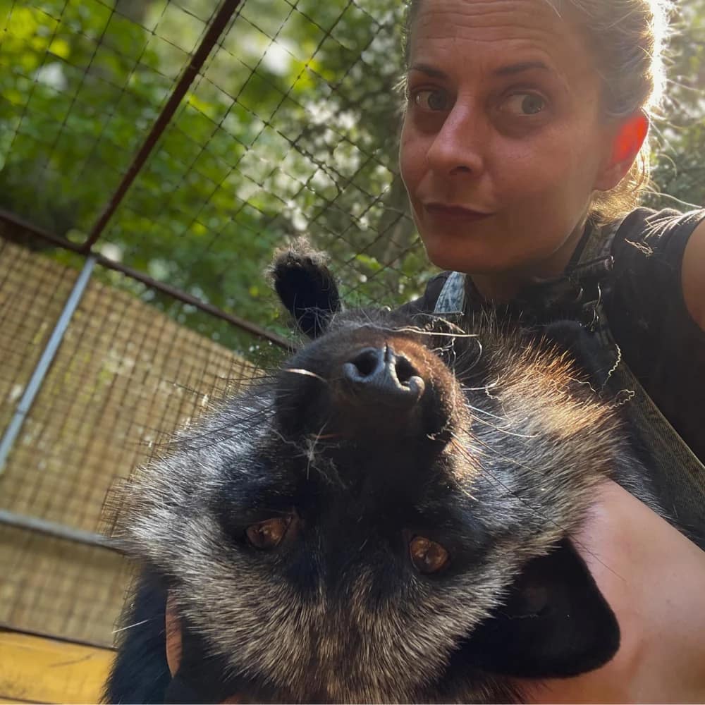 edina-mazikeen-ezustroka