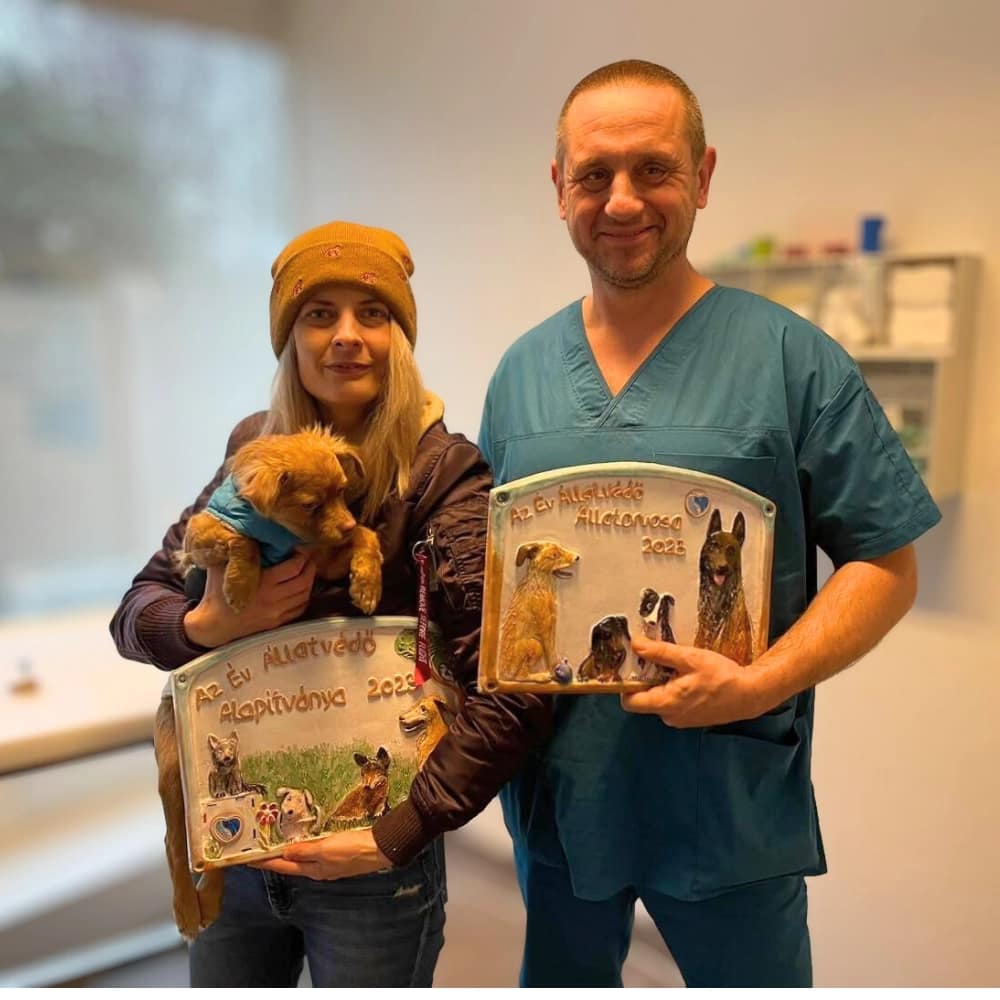 edina-tom-yoda-dreamteam