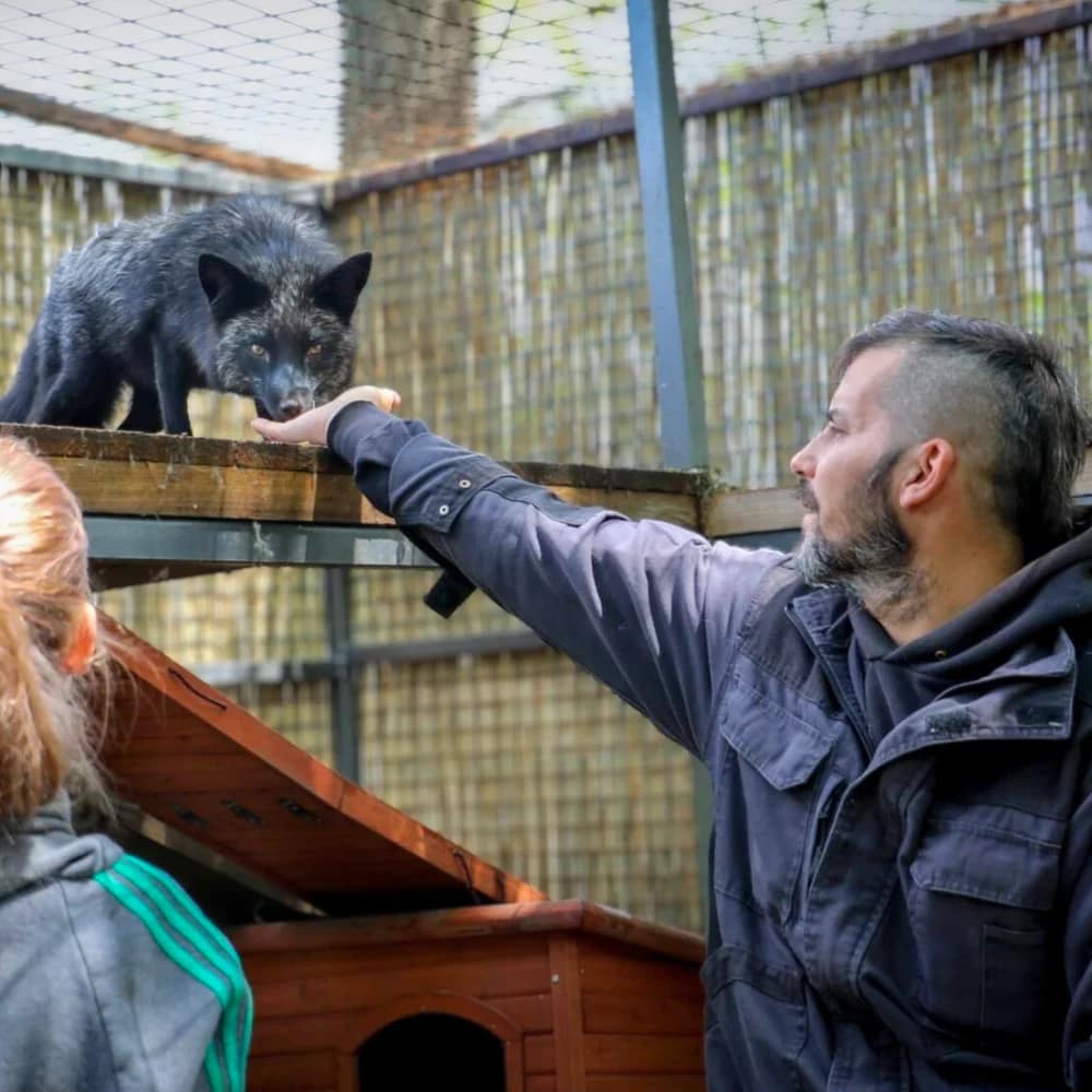 soma-ezustroka-premroka