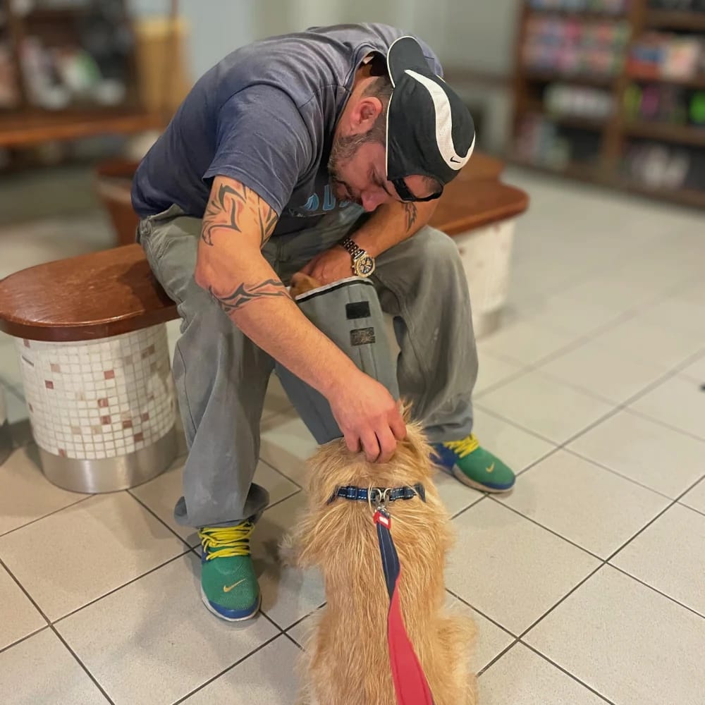 soma-tati-allatorvostudomanyi-egyetem