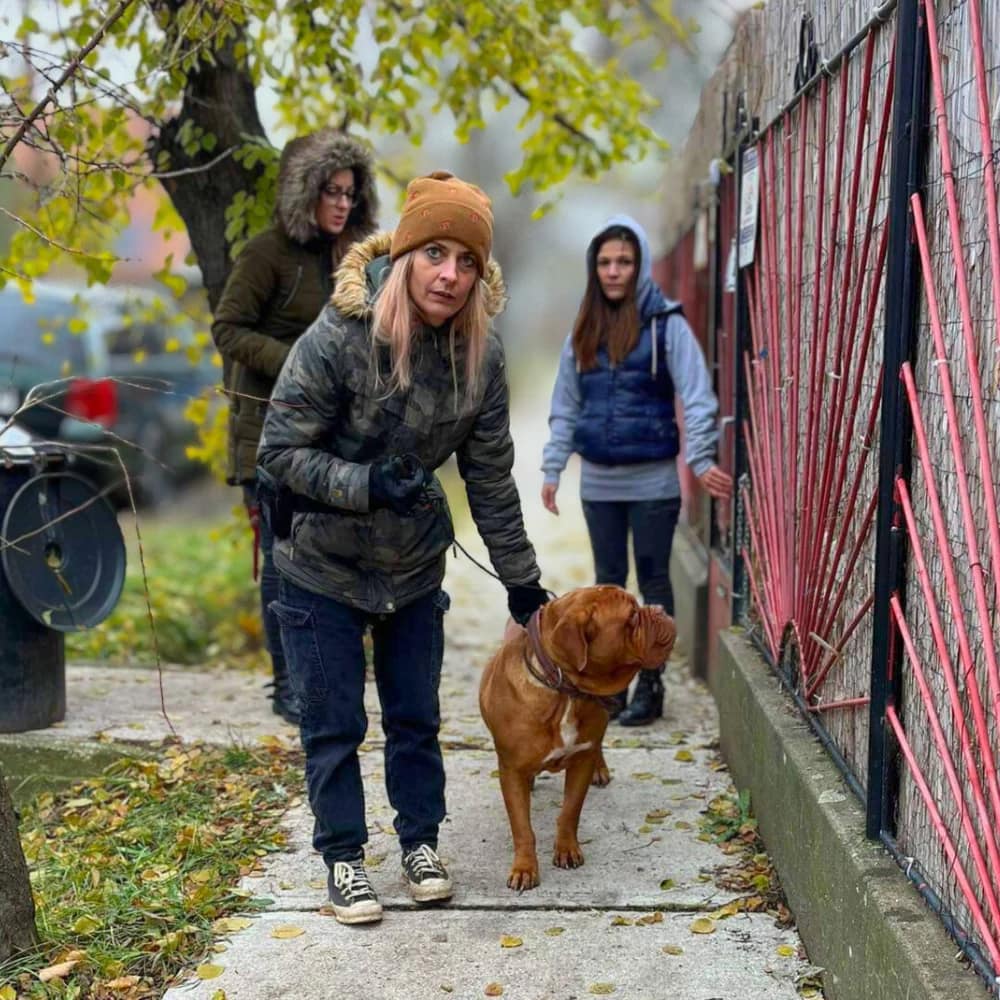 edina-allatmentes-allatvedelem