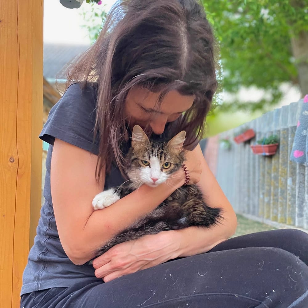 zsuzsi-mentett-cica-allatvedelem