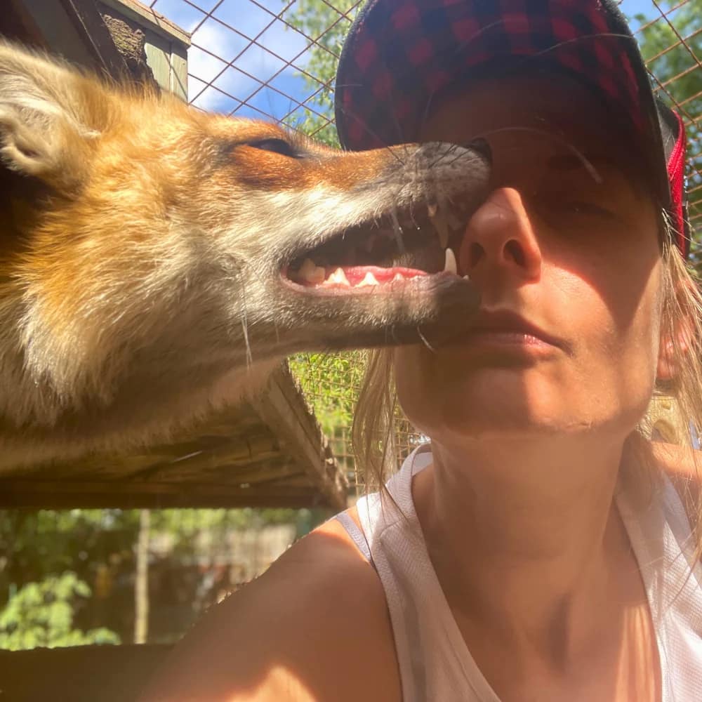 edina-boro-domesztikalt-roka