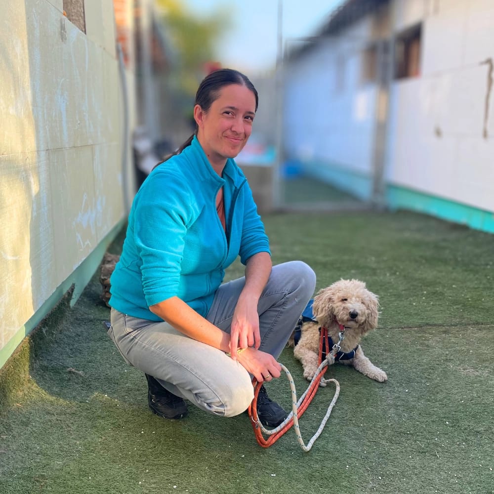 reka-simi-mentett-kutya-rehabilitacio