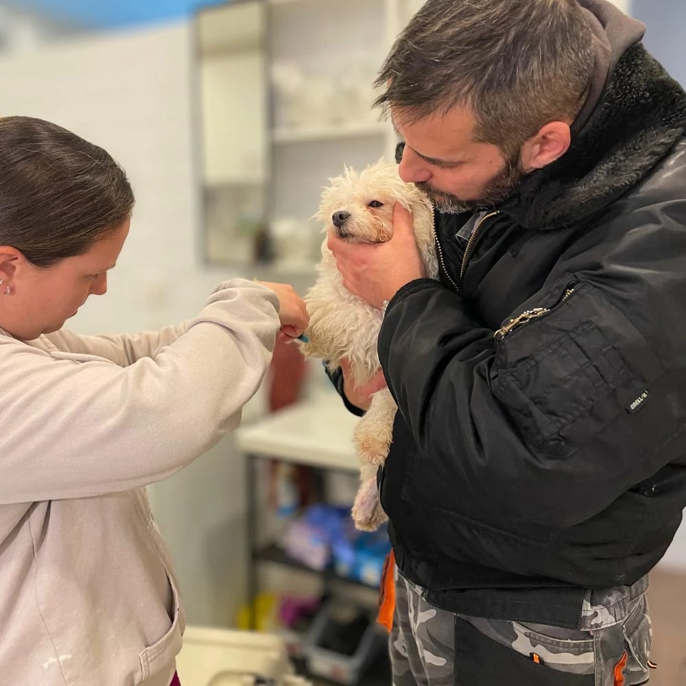 soma-allatvedelem-allatorvos