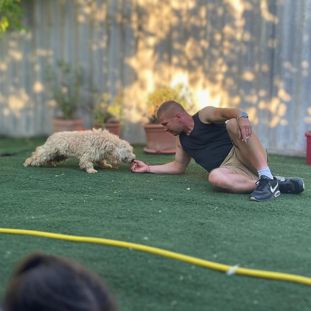 peti-mentett-kutya-szocializacio