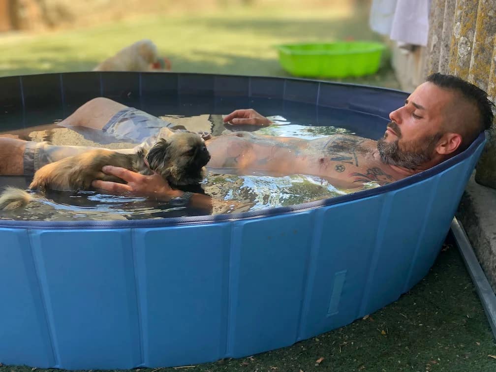 soma-piri-kutyamedence-lebenult-kutya